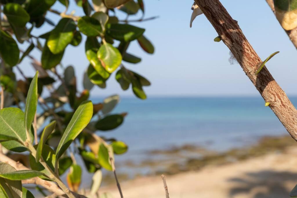 Cj Sea Home Camere Trapani Zewnętrze zdjęcie